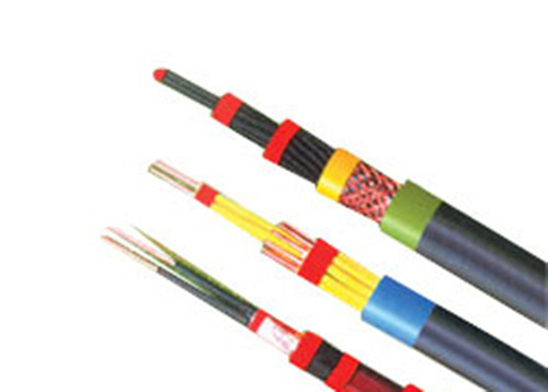 氟塑料绝缘和护套耐高温（控制）电缆